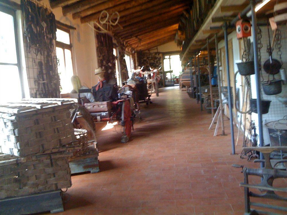 Vila Fattoria Di Castiglionchio Rosano  Exteriér fotografie